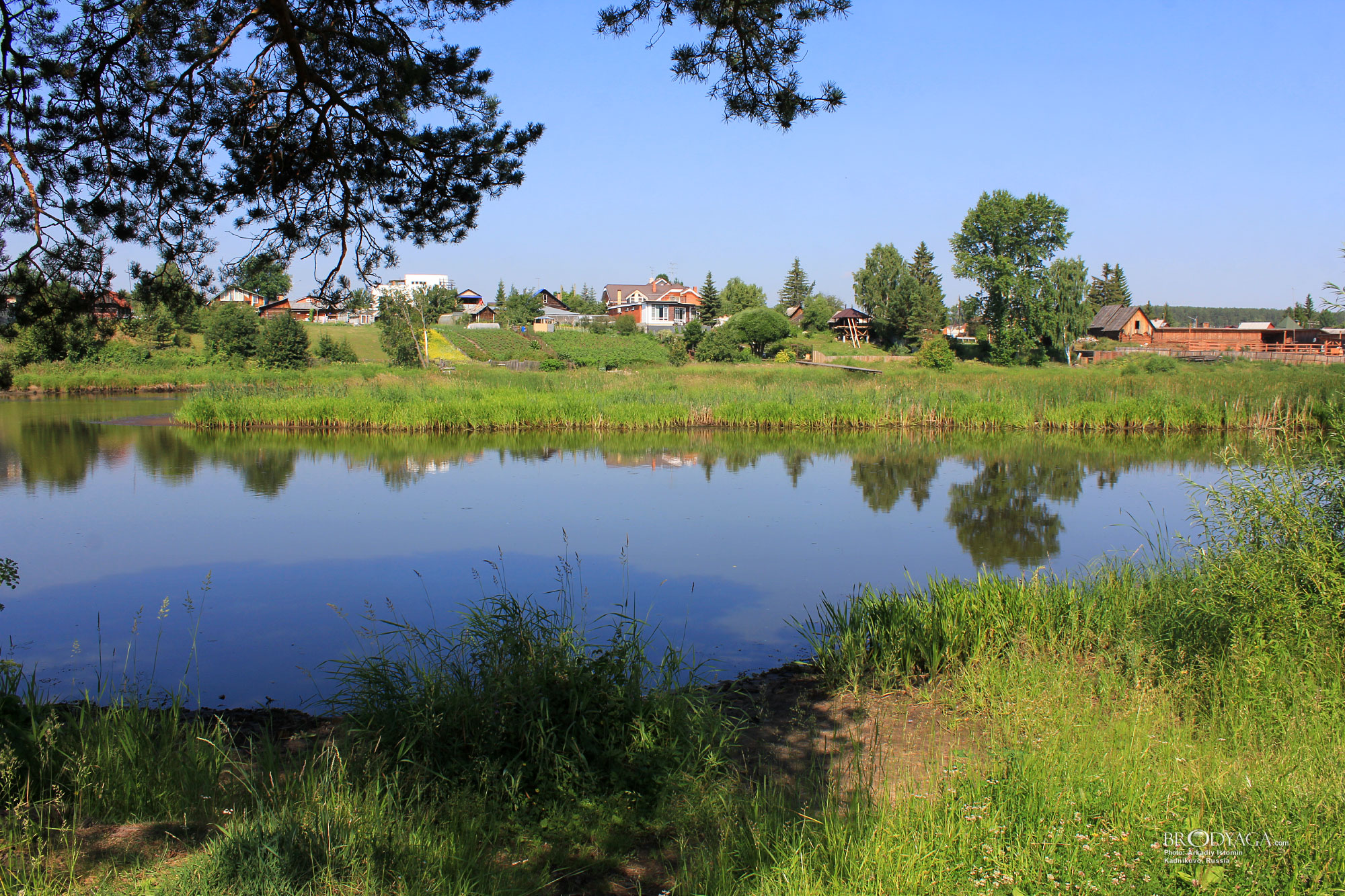 Kadnikovo (Кадниково)